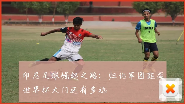 印尼足球崛起之路:归化军团距离世界杯大门还有多远 - 虎扑体育推荐