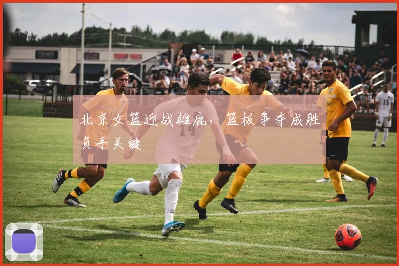 北京女篮迎战雄鹿,篮板争夺成胜负手关键 - 虎扑体育推荐